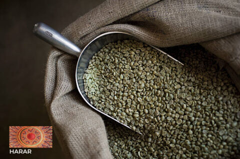 Harar Ethiopian Coffee - Dur Coffee - Coffee from its Birthplace Harar Ethiopian Coffee