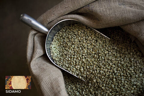 Sidamo Ethiopian Coffee - Dur Coffee - Coffee from its Birthplace Sidamo Ethiopian Coffee